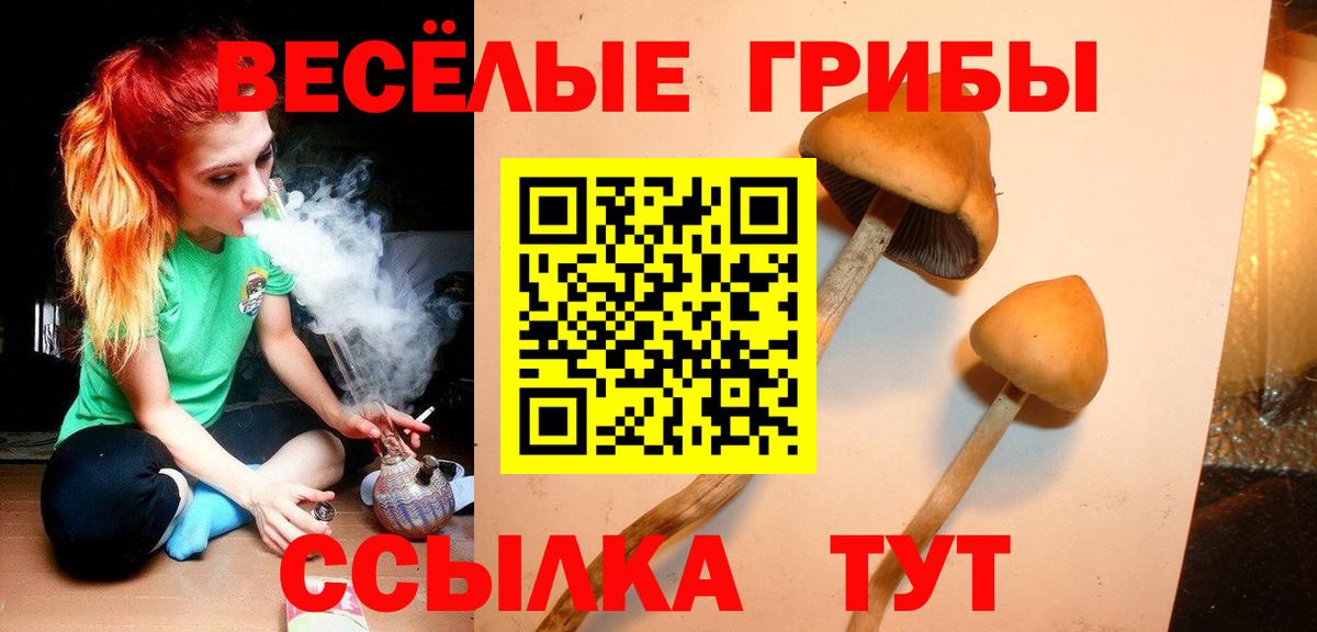 Псилоцибиновые грибы Magic Shrooms  Вход с VPN  Кирово-Чепецк 