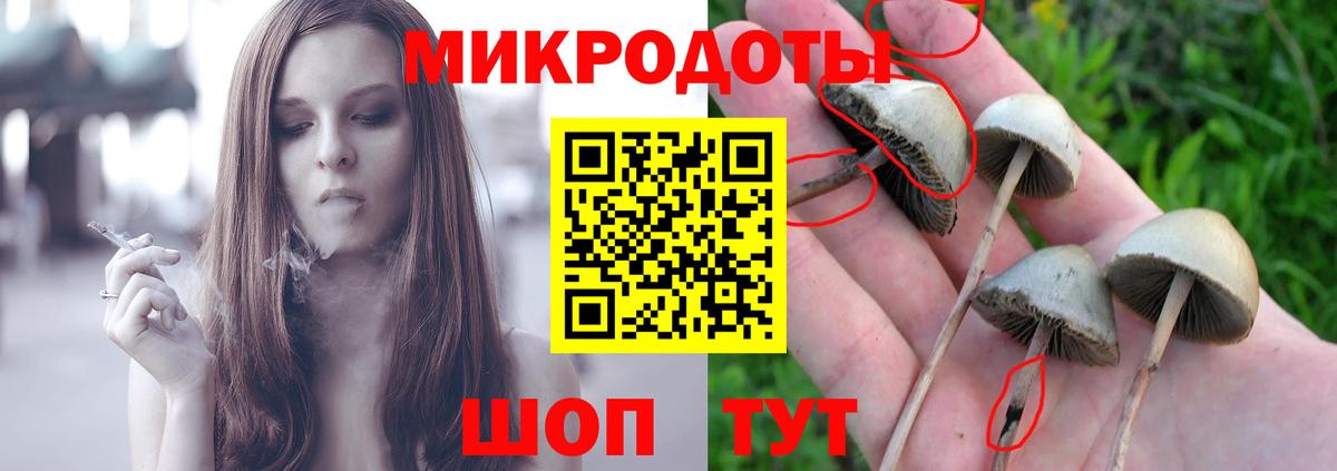 Галлюциногенные грибы MAGIC MUSHROOMS Кирово-Чепецк